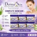 Derma Skin Professional Formulation Facial Kit (6-steps)